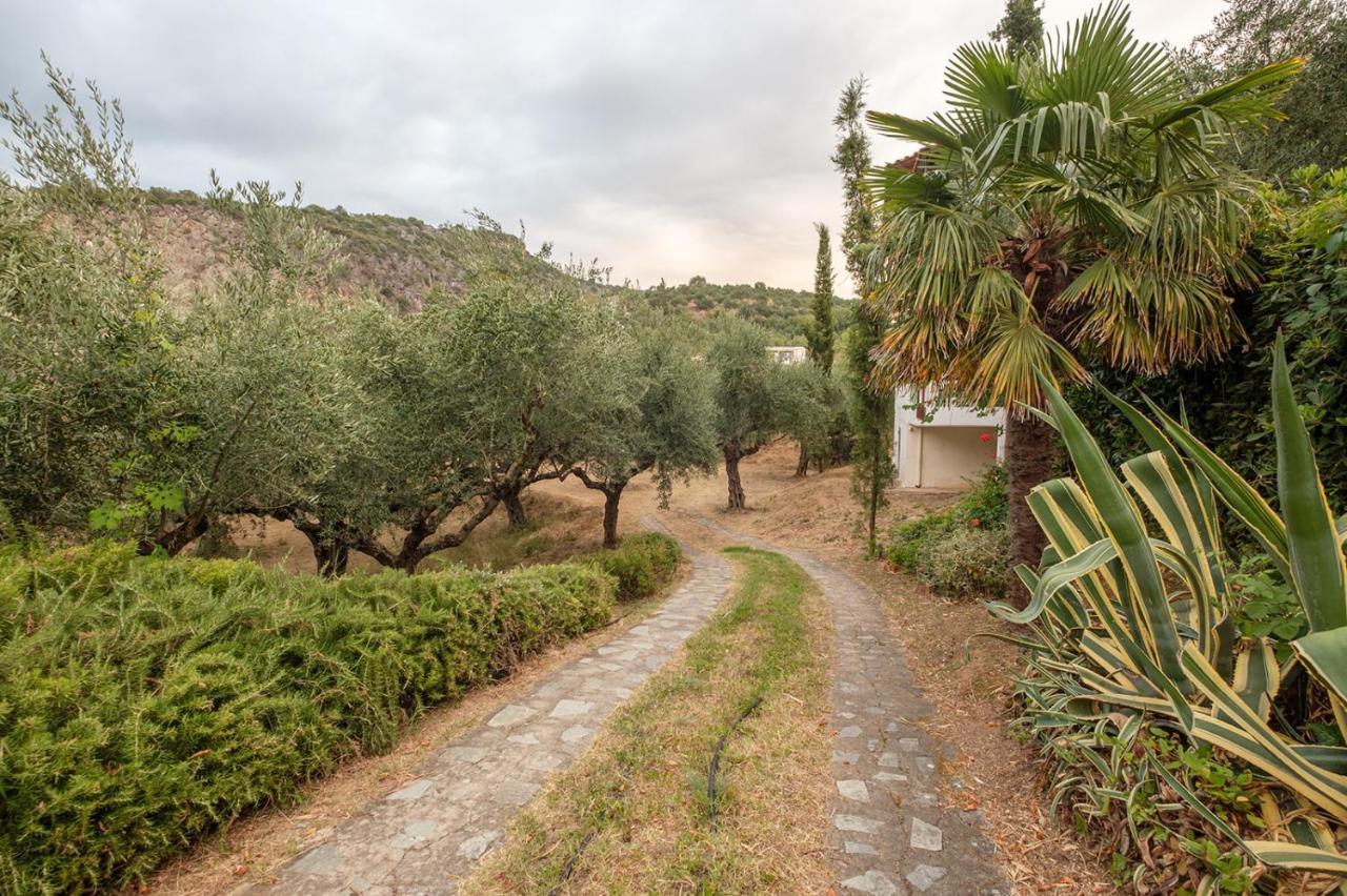 Kitriaí Panagea Holiday Apartments מראה חיצוני תמונה